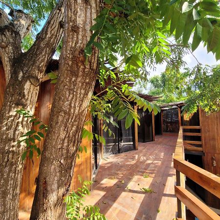 Malakai Hostel 툴룸 외부 사진